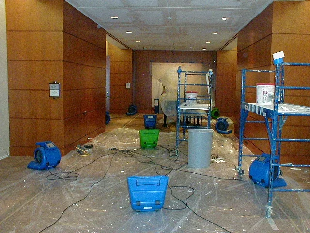 Air movers and dehumidifiers drying the floor and wood-paneled walls of a commercial lobby