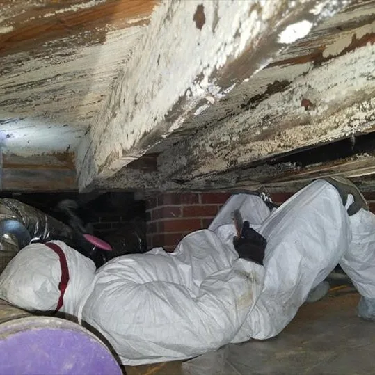 Technician in a protective suit lying under stained floor joists in a tight crawl space