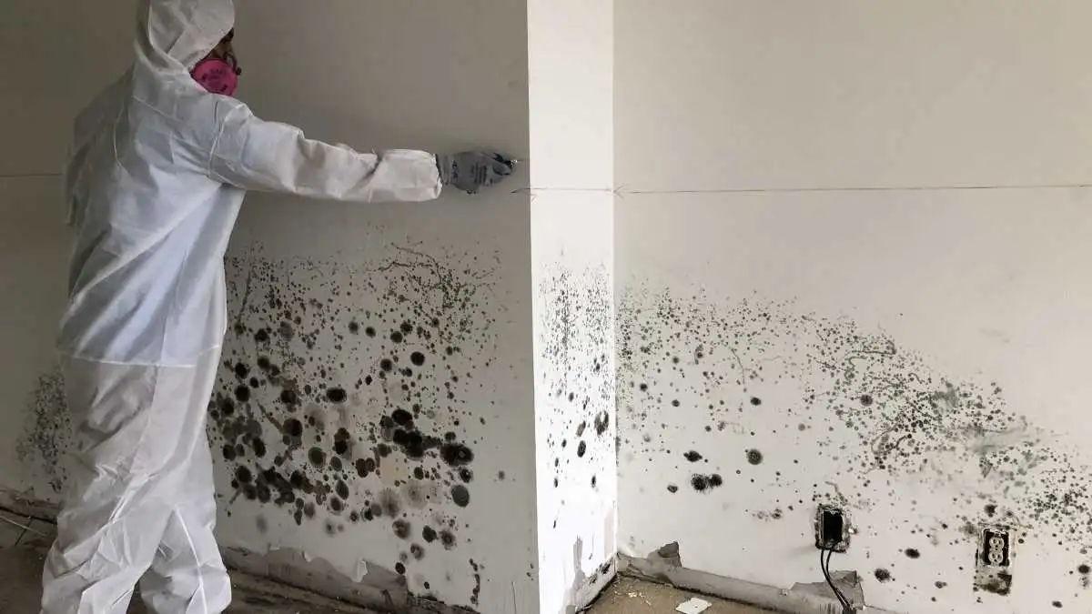 Technician in a protective suit and respirator marking a mold-covered wall for removal