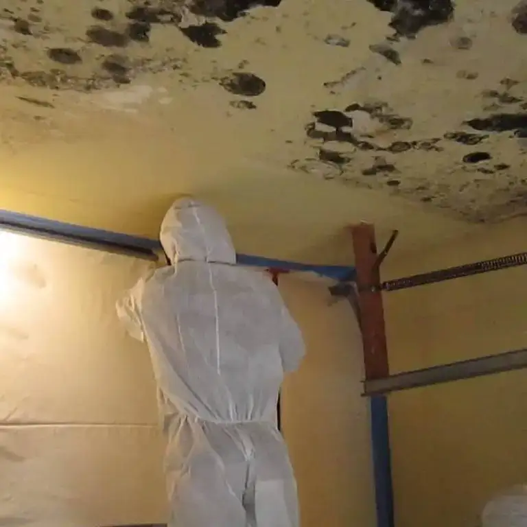Technician in a protective suit putting up plastic sheeting under a mold-covered ceiling