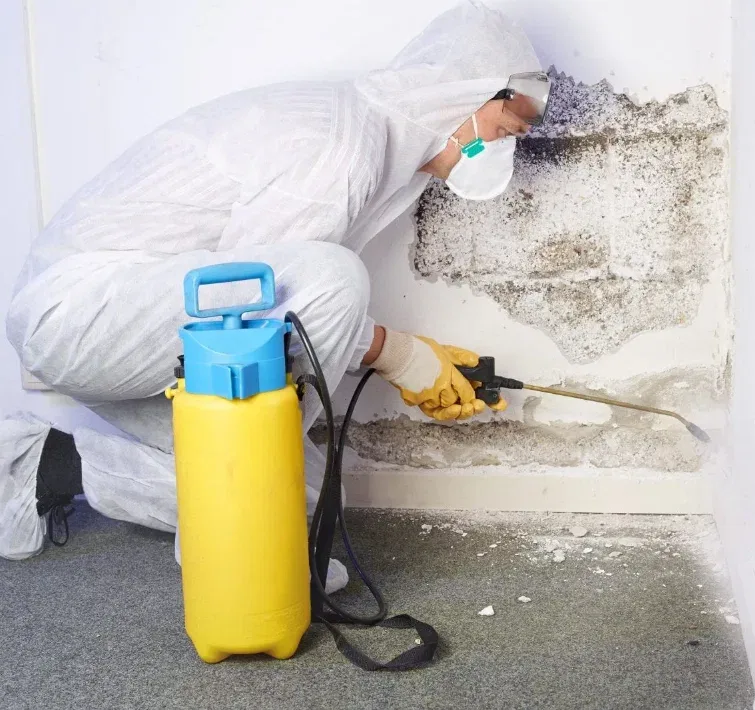 Technician in a protective suit and mask working on a mold-damaged wall with a pump sprayer